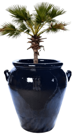 São Marino com Alça